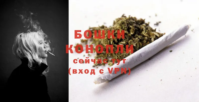 Бошки Шишки OG Kush  продажа наркотиков  Сим 